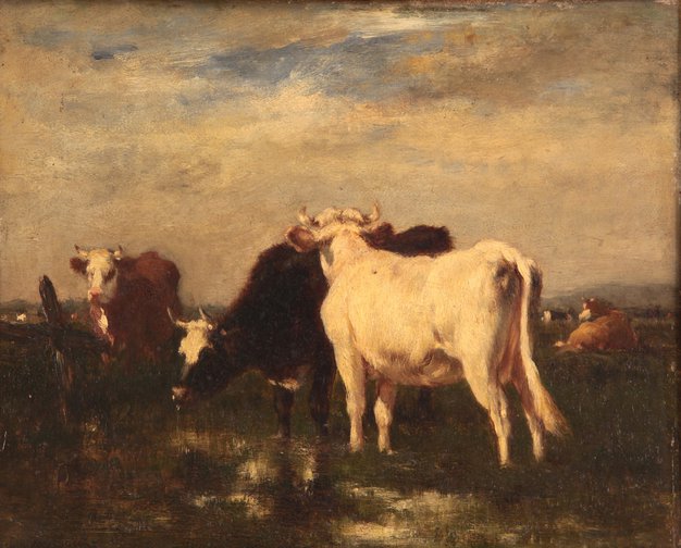 Vaches dans Paysage