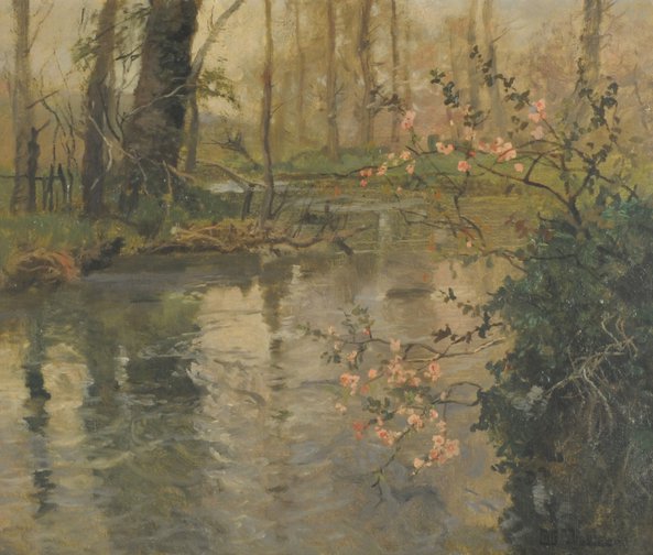 Orillas del río en primavera