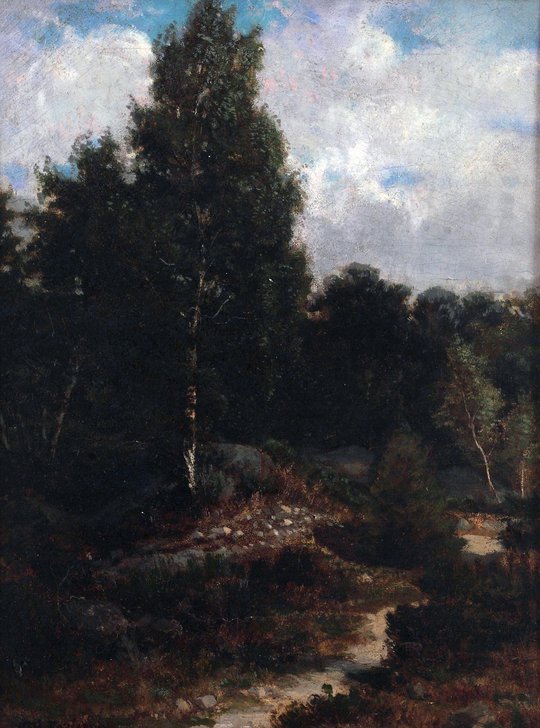 Bosque de Fontainebleau