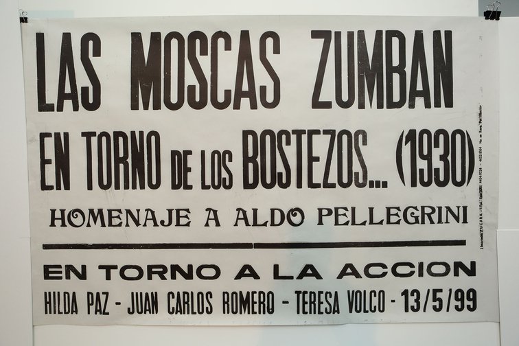 Las moscas Zumban