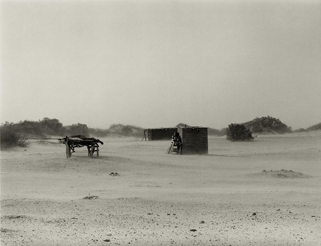 Sin título (viento zonda)