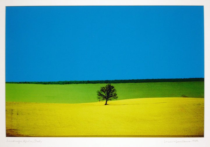 Landscape, Apulia, Italy