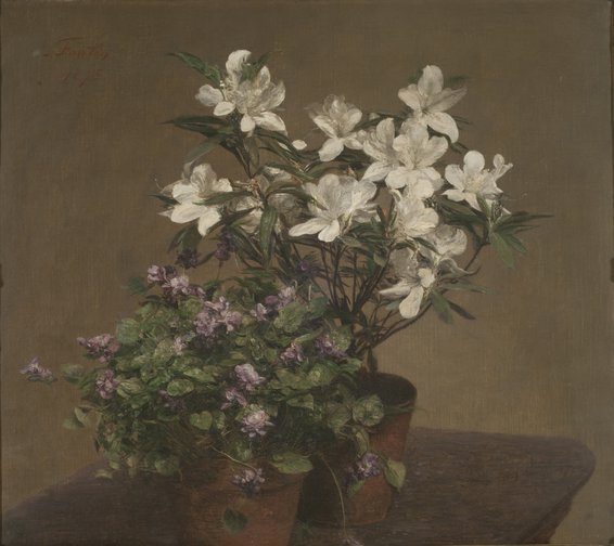 Violettes et azalées (Violetas y azaleas)