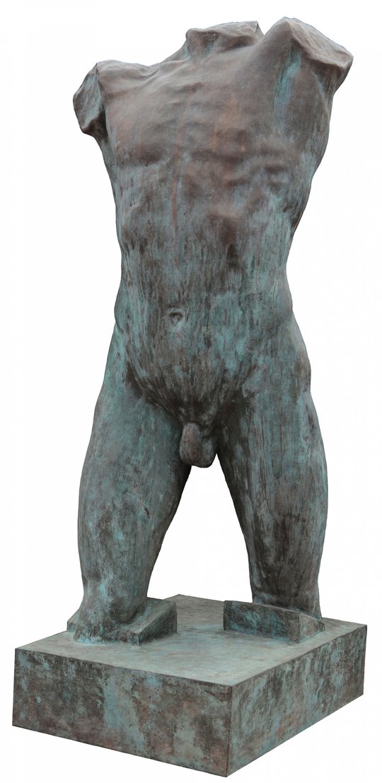 Torso Torso