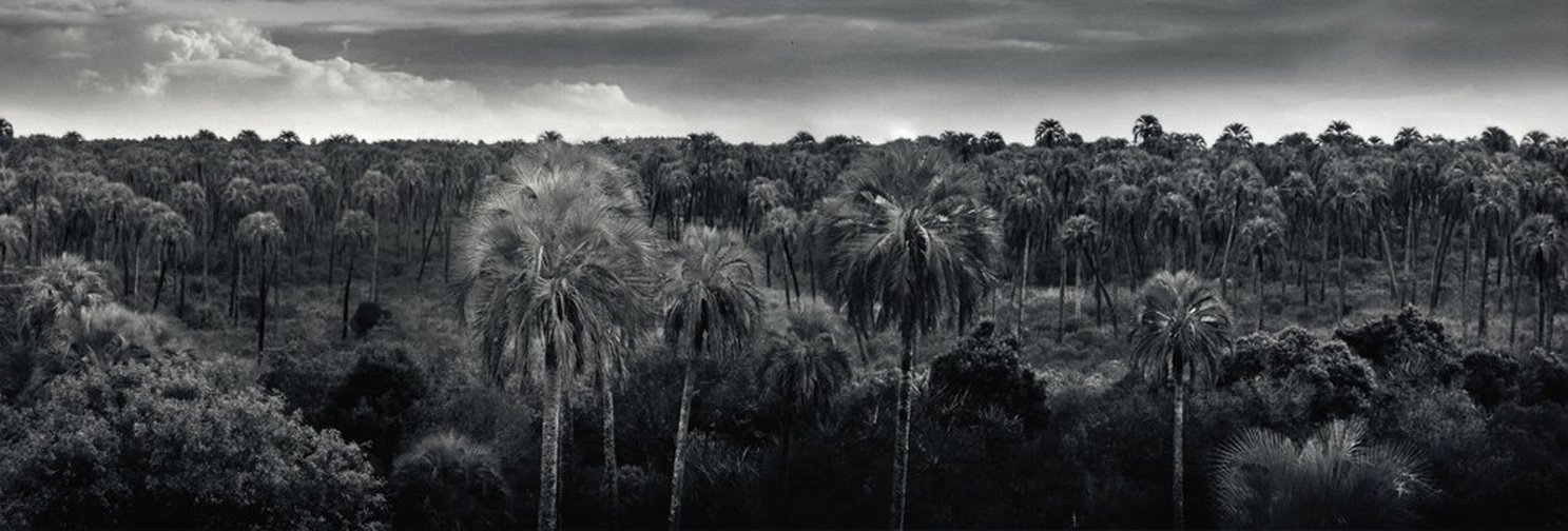 El Palmar, Entre Ríos