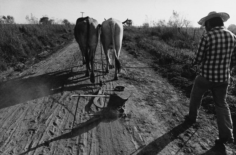 (La rastra, Misión Tacaaglé # 10) Los hijos de la tierra, Provincia de Formosa