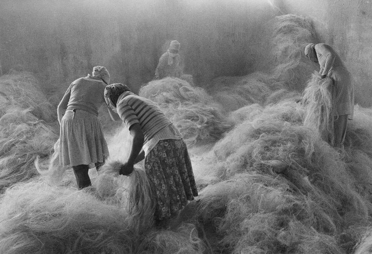 Mujeres Bahía